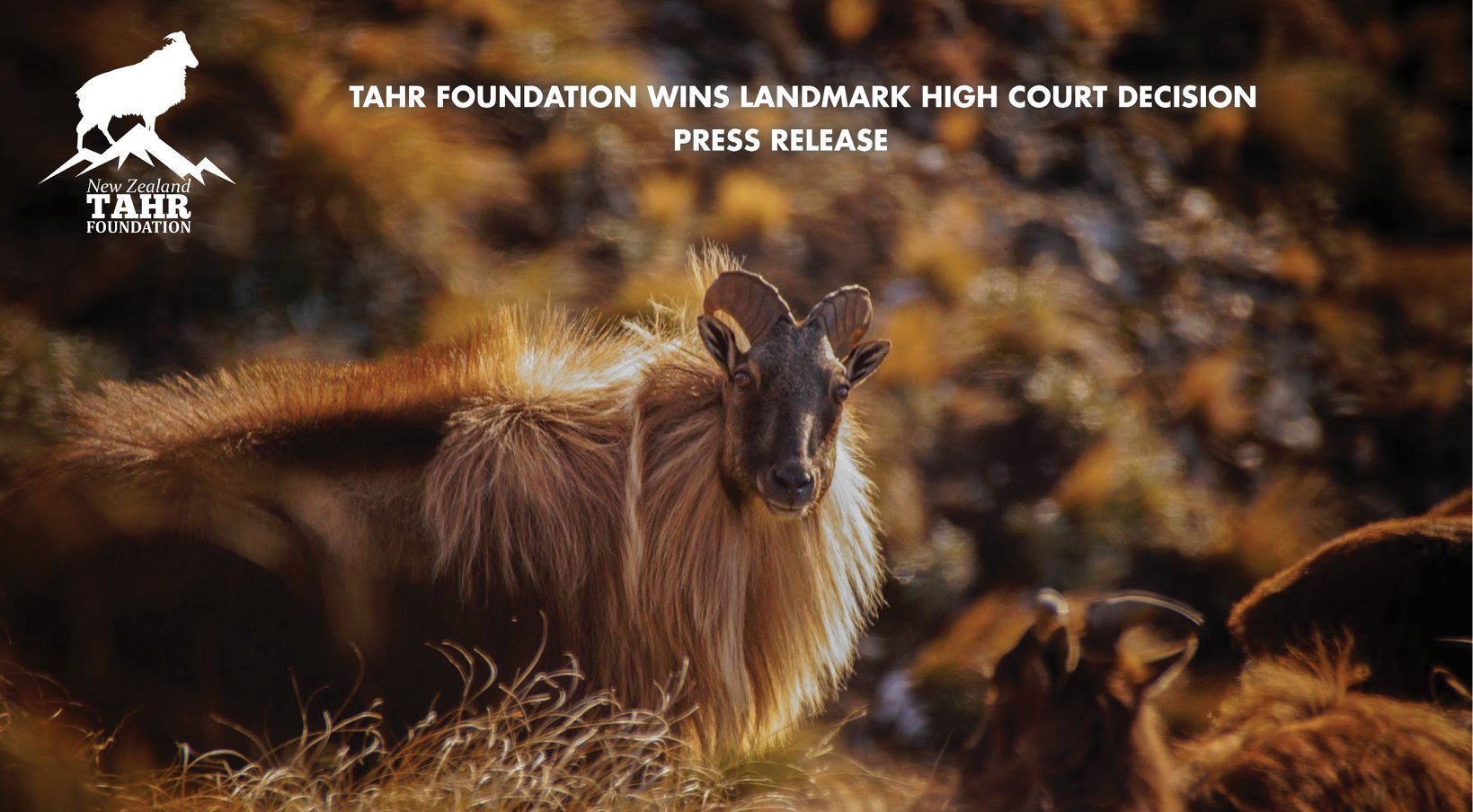 TAHR FOUNDATION WELCOMES LANDMARK HIGH COURT DECISION